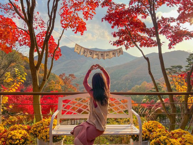 단풍이 너무 예쁘게 물든 화담숲🍁🧡