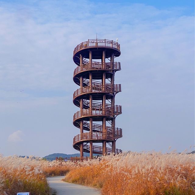 서울 근교 드라이브 코스 🍂시흥 갯골생태공원