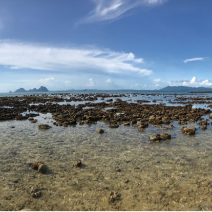 เกาะมุก ตรัง
