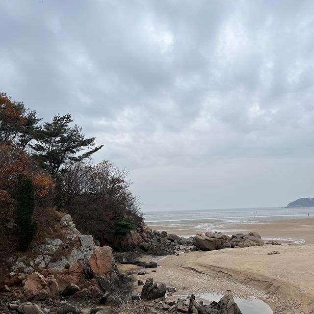 서울 근교 바다 여행 