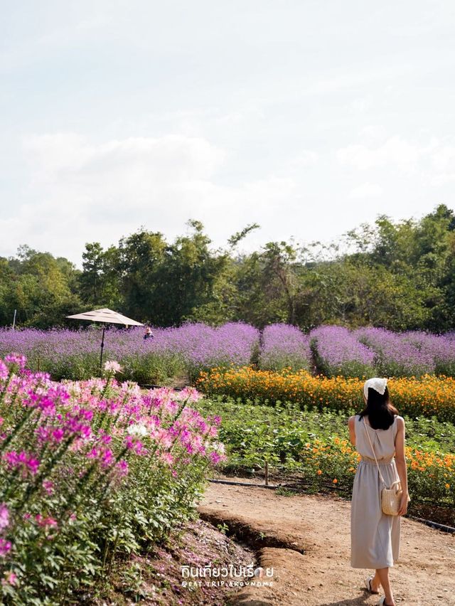 ถ่ายรูปสวยๆกันที่ Floryday Khaoyai🌸🌷