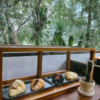 ☕️|🌳 Verdurous House 🍦彡·˚ ₊ พัทลุง