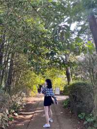 꽃내음 가득한 제주도 카멜리아힐 🌺