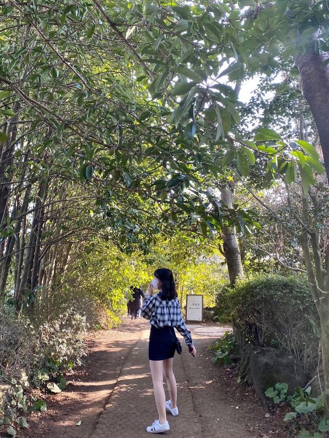 꽃내음 가득한 제주도 카멜리아힐 🌺