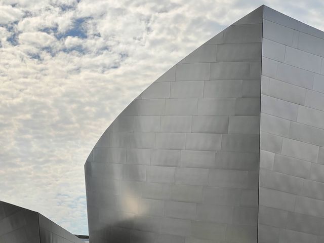 Incredible architecture design by Frank Gehry