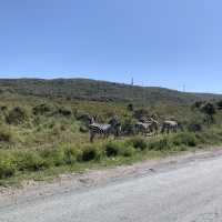 Maasai mara, Hell’s gate National park