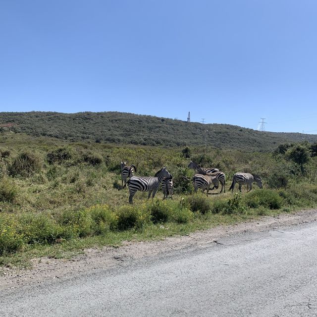 Maasai mara, Hell’s gate National park