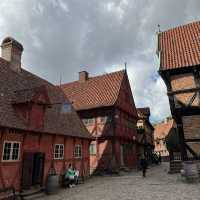 Autumn in Aarhus