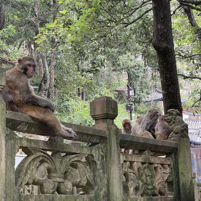 The most CHILLED. Shaxi and Shibaoshan.