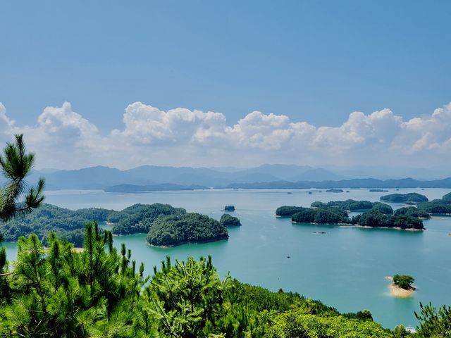 Thousand Island isn’t just a dressing!Go&C! Thousand Island isn’t just a dressing!Go&C!