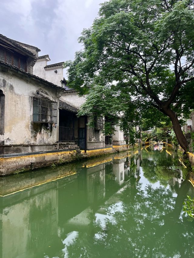 Exploring Shaoxing✨