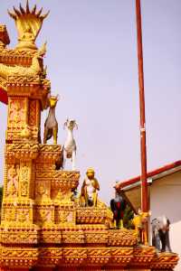 Gorgeous and prominent colors are combined with sculptures that we consider exaggerated.