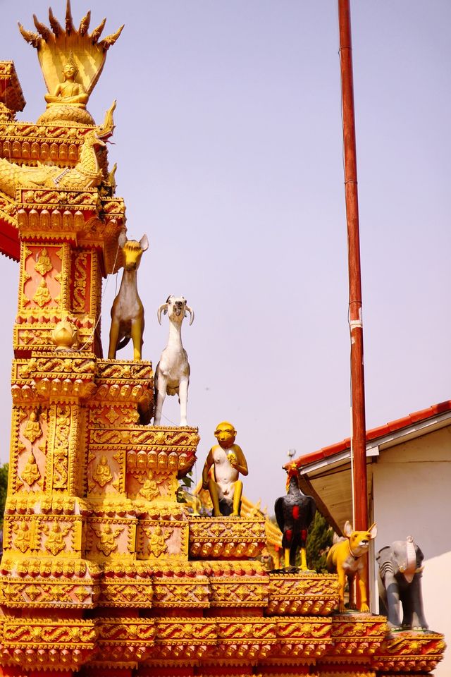 Gorgeous and prominent colors are combined with sculptures that we consider exaggerated.