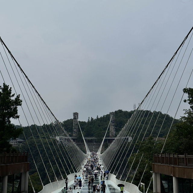 Zhangjiajie Grand Canyon and Glass Bridge