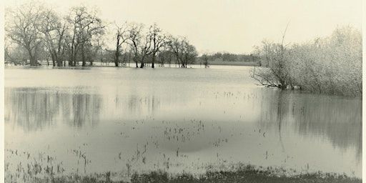 Closing Reception for Robin Dintiman Art Exhibit | Laguna de Santa Rosa Foundation