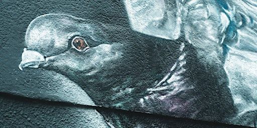 Tour: Hidden art in Groningen (EN) | Kunstpunt Groningen