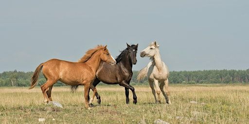 Loswerken module les | Noorderend 22