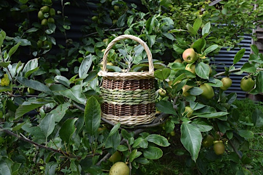 Beginners Willow Basketry Workshop | Gladstone Mews