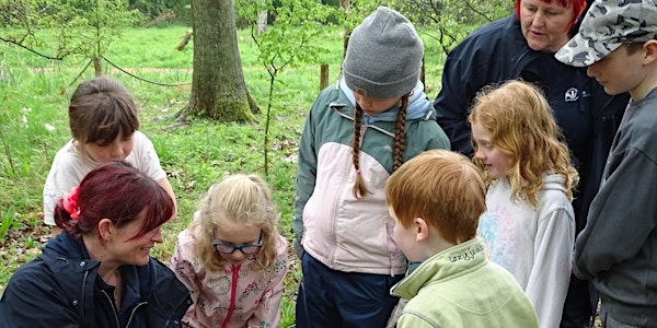 Abbotts Hall Family Forest Fun | Abbotts Hall Farm