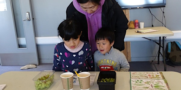 Naze Seashore Science Lab | Naze Nature Discovery Centre