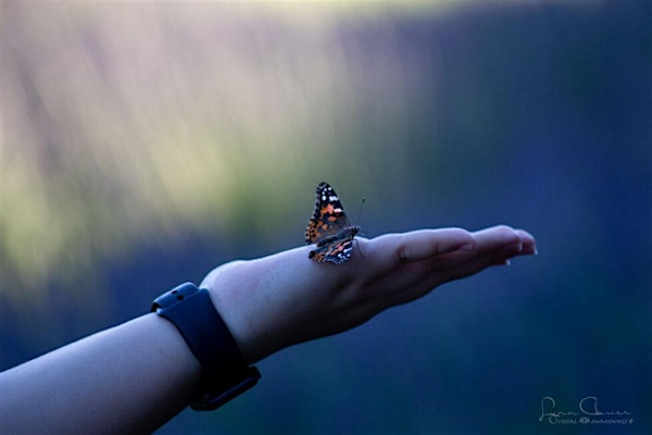 Butterfly Release | Wayward Winds Lavender Farm