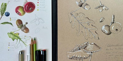 Botanical Sketchbook Workshop at Summer Leys (22nd May) | Summer Leys Nature Reserve