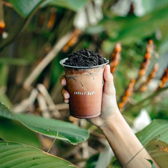 FOREST KOPI FOREST KOPI