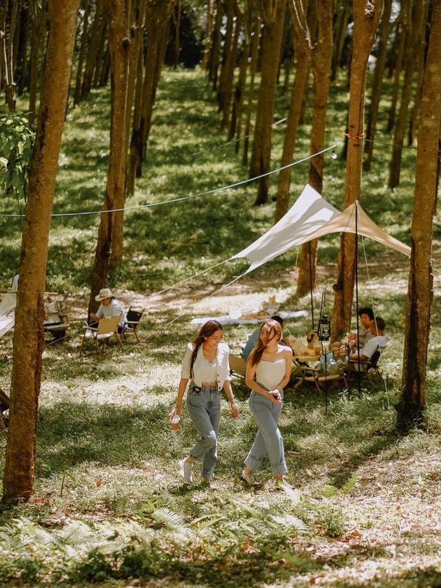 Attitude Coffee Camp