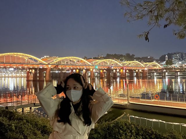 서울 야경 명소 :: 노들섬🌉