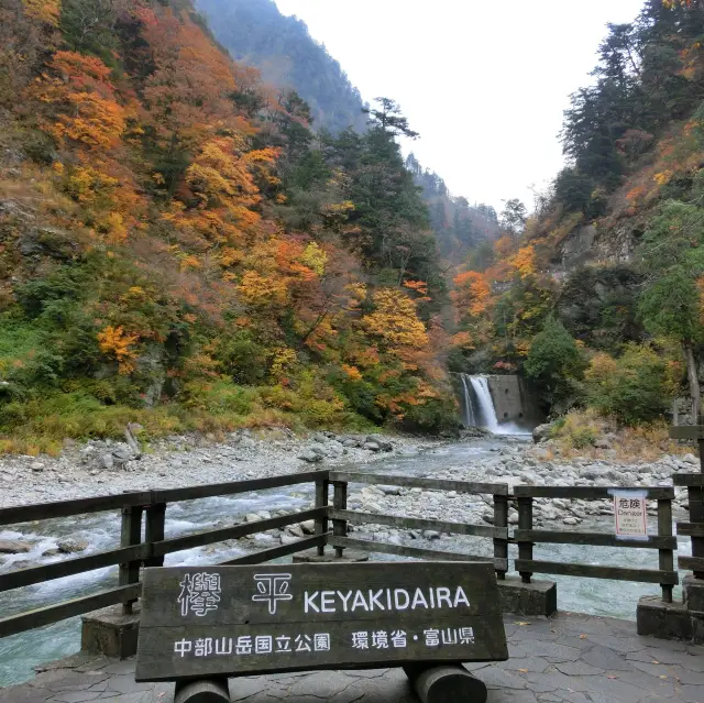 【富山】トロッコ電車に乗って出逢えた秘境