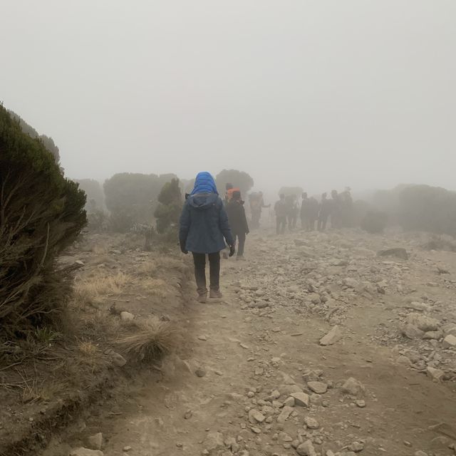 bye bye Mount Kilimanjaro! 