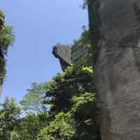 珍しい珍しい山登りに行きました。