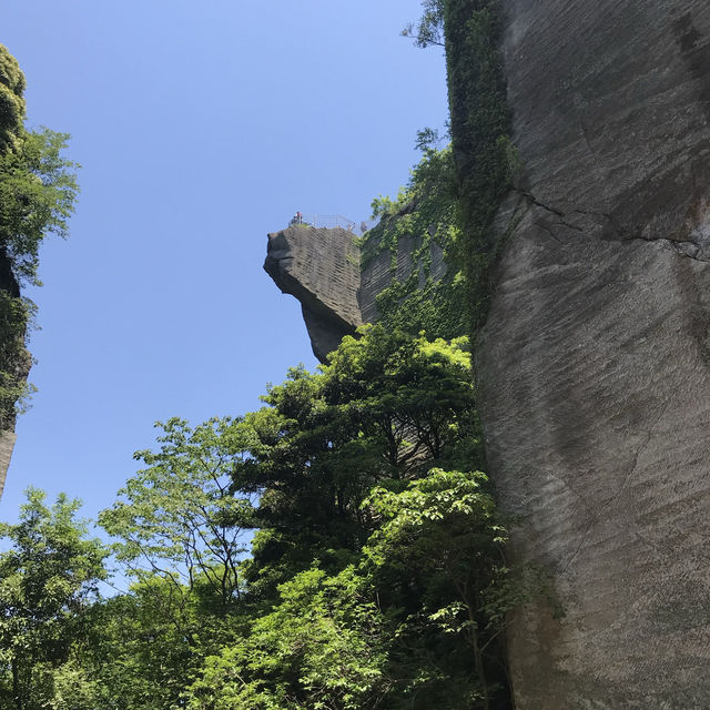 珍しい珍しい山登りに行きました。