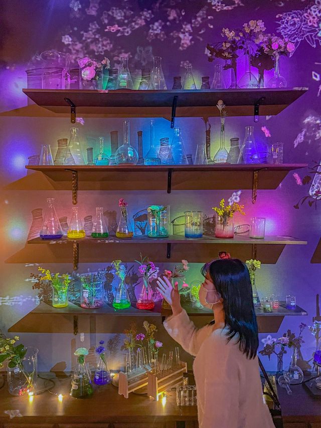 서울 인생샷 찍기 좋은 전시회🌷
