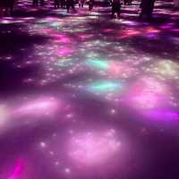 チームラボ　プラネッツ(豊洲)