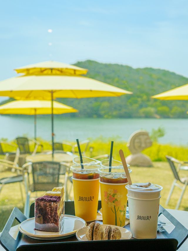 🌼 경주 불국사 근처 유채꽃 해바라기 카페 바실라 
