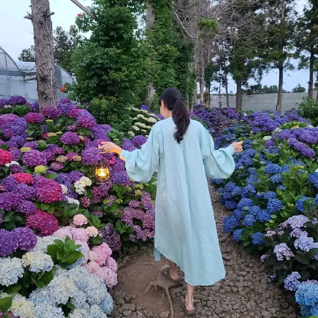 수국나라❤️