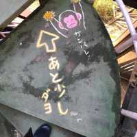 親親大自然🇯🇵😚 高野山猴園・野草園