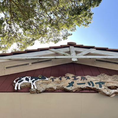 東戸塚駅から5分電車の見えるアイス工房メーリア Trip Com 戸塚区の旅のブログ