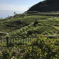 《日本-輪島市》堅持要去看的「梯田之美」