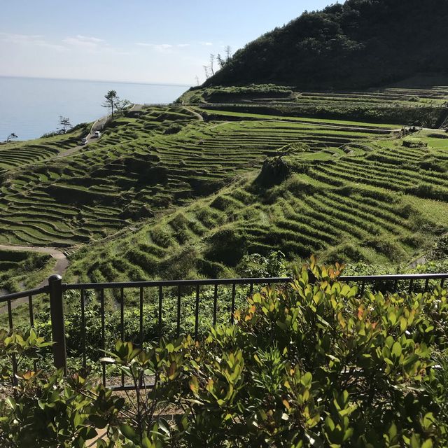 《日本-輪島市》堅持要去看的「梯田之美」