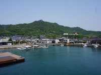 日本廣島｜兔仔島🐰🐰😍😍