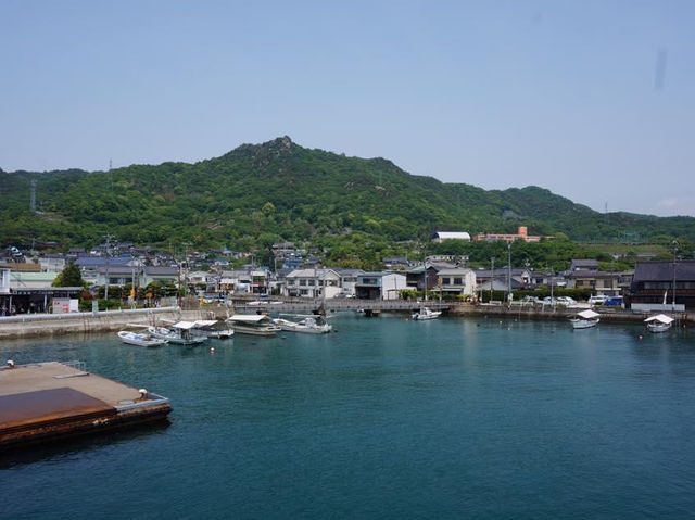 日本廣島｜兔仔島🐰🐰😍😍