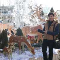 สวนสนุก​ Everland  เกาหลีใต้