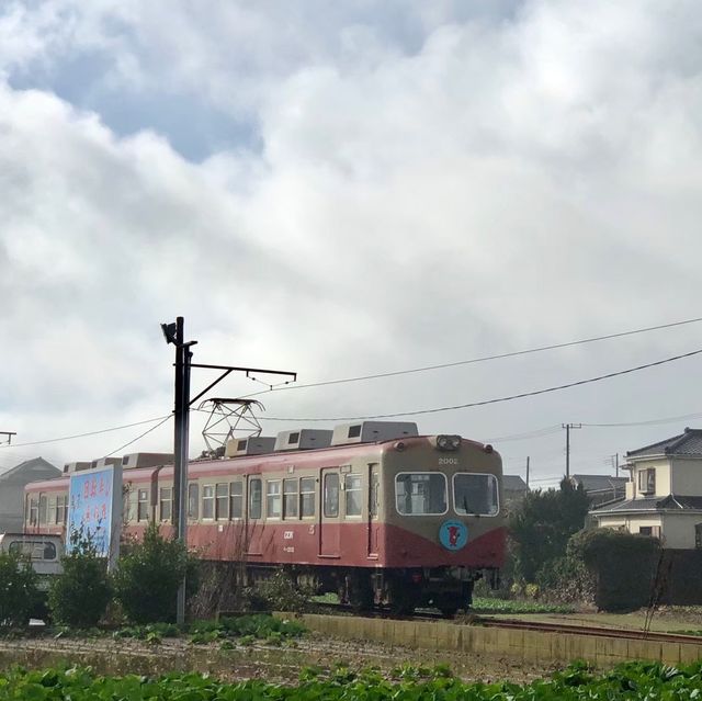 【千葉県】銚子電鉄に乗って犬吠埼温泉へ！