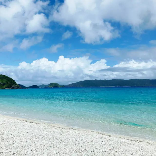 ケラマブルー！何種類も楽しめる！