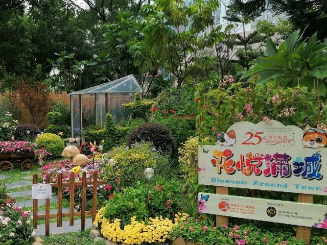 櫻桃街公園 - 花悅滿城 主題園圃