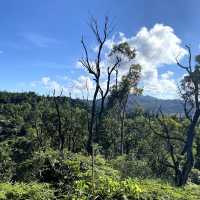 Alto De Coloane Park 