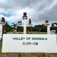 【沖縄 南城市】生命の神秘を辿る旅✨