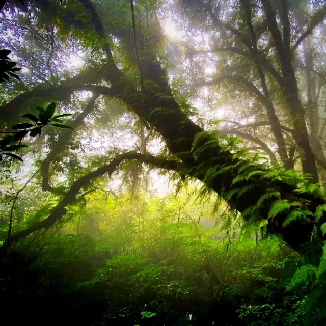 The Scenic Doi Inthanon National Park